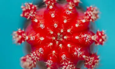 HPV: Cos’è, sintomi, cura e trattamento con Ossigenoterapia